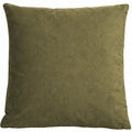 Throw Pillow, Jade